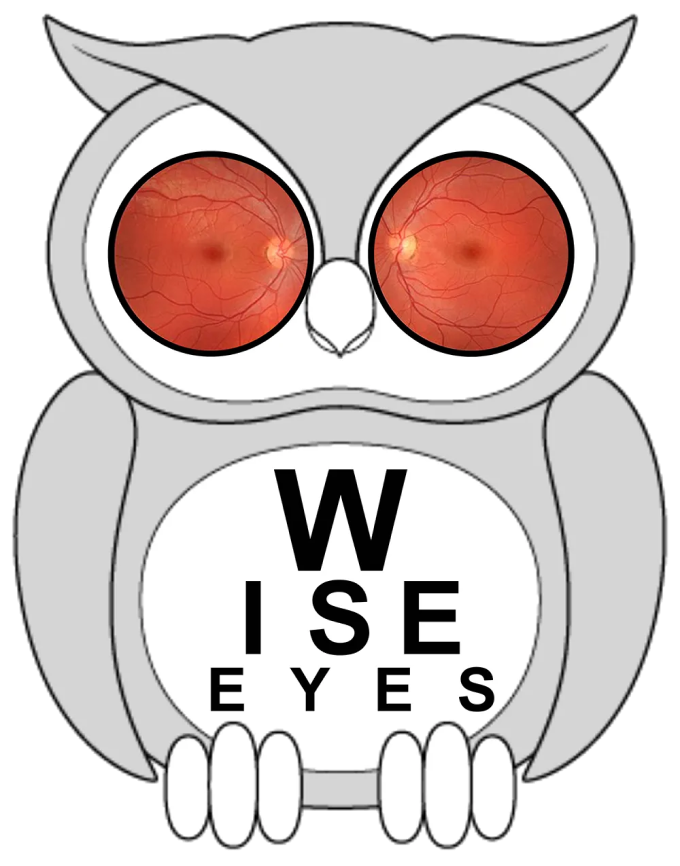 Wise Eyes Foundation